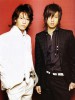 亀と山P