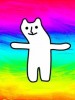 转世虚拟猫