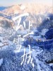 由美 /杨君