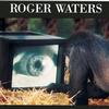 Roger Waters Three Wishes 试听