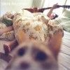Signe Tollefsen It Smells of You 试听
