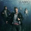 Seabird Don't You Know You're Beautiful 试听