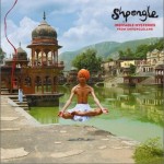 Ineffable Mysteries From Shpongleland详情