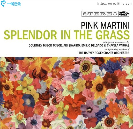 Splendor In The Grass