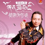 情歌为你唱