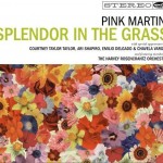 Splendor In The Grass详情
