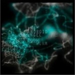 Glow Worm详情