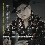 伤心雨伤心泪(单曲)详情