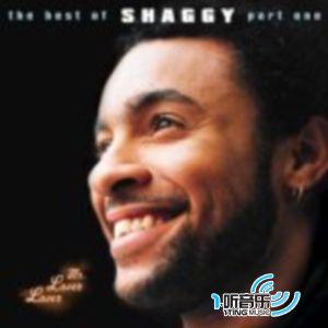 The Best Of Shaggy Volume 1