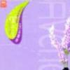 华语群星 有多少爱可以重来 - 黄仲昆 试听