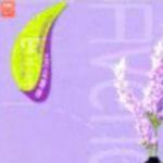 情迷薰衣草 Disc 2