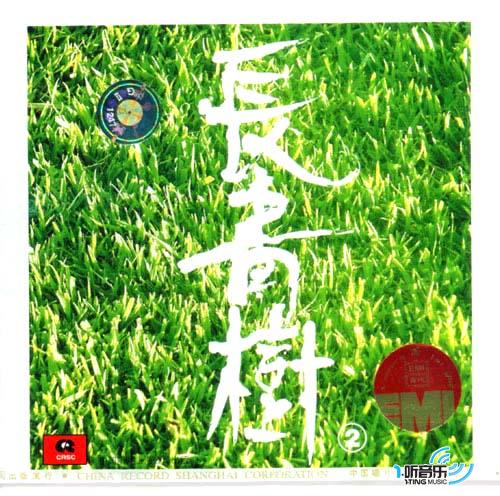 长青树2