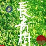 长青树2