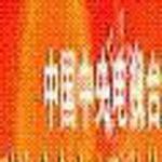 2004央视春节联欢晚会完全歌曲集