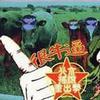 群星 无法忍受下去 / 哎吆 试听