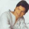Shaan Har Taraf (Feat. Samira Said) 试听