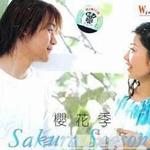 樱花季详情