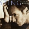 Sting The Hounds Of Winter 试听