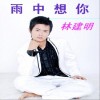 雨中想你(单曲)