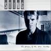 Sting If You Love Somebody Set Them Free 试听