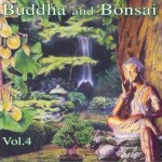 佛陀和盆景系列 Buddha and Bonsai vol4详情