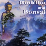 佛陀和盆景系列 Buddha and Bonsai vol2详情