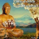 佛陀和盆景系列 Buddha and Bonsai vol5详情