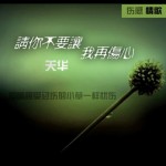 请你不要让我再伤心(单曲)详情