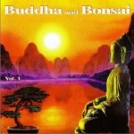 佛陀和盆景系列 Buddha and Bonsai vol1详情