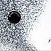 Wilco You Are My Face 试听