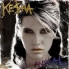 Ke$ha Your Love Is My Drug 试听