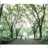 カラーボトル 合鍵 试听