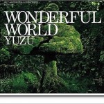 Wonderful World