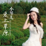 爱上草原详情