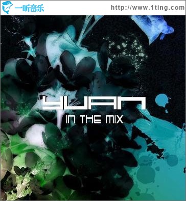 Yuan in the Mix