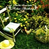 Robin Spielberg Butterfly 试听