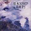 Blackbird Raum Turning away 试听
