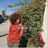 Miss Monday Monday Classics mixed by DJ KAORI 试听