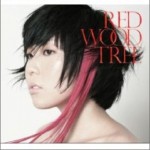 REDWOOD TREE详情