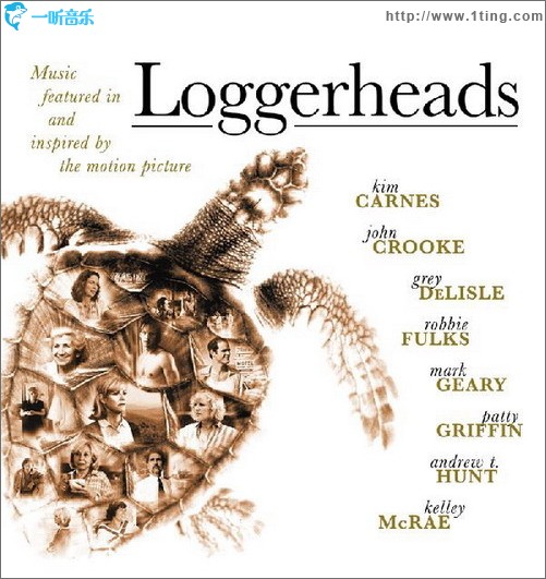 海龟 Loggerheads