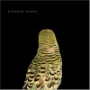 Andrew Bird Fiery Crash 试听