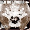 born Radical Hysteria 试听