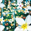 L'Arc~en~Ciel BLESS - L’Arc~en~Ciel 试听