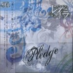Pledge详情