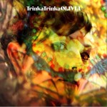 Trinka Trinka详情