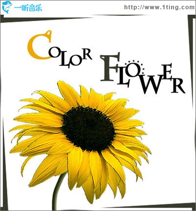Color Flower
