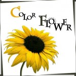 Color Flower