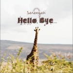 Hello, Bye...详情