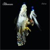 The Courteeners The Opener 试听