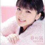 春の嵐详情